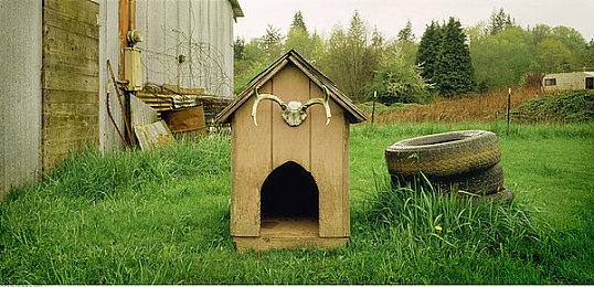 末世生存FPS《Dysterra》新预告 11月24日EA发售